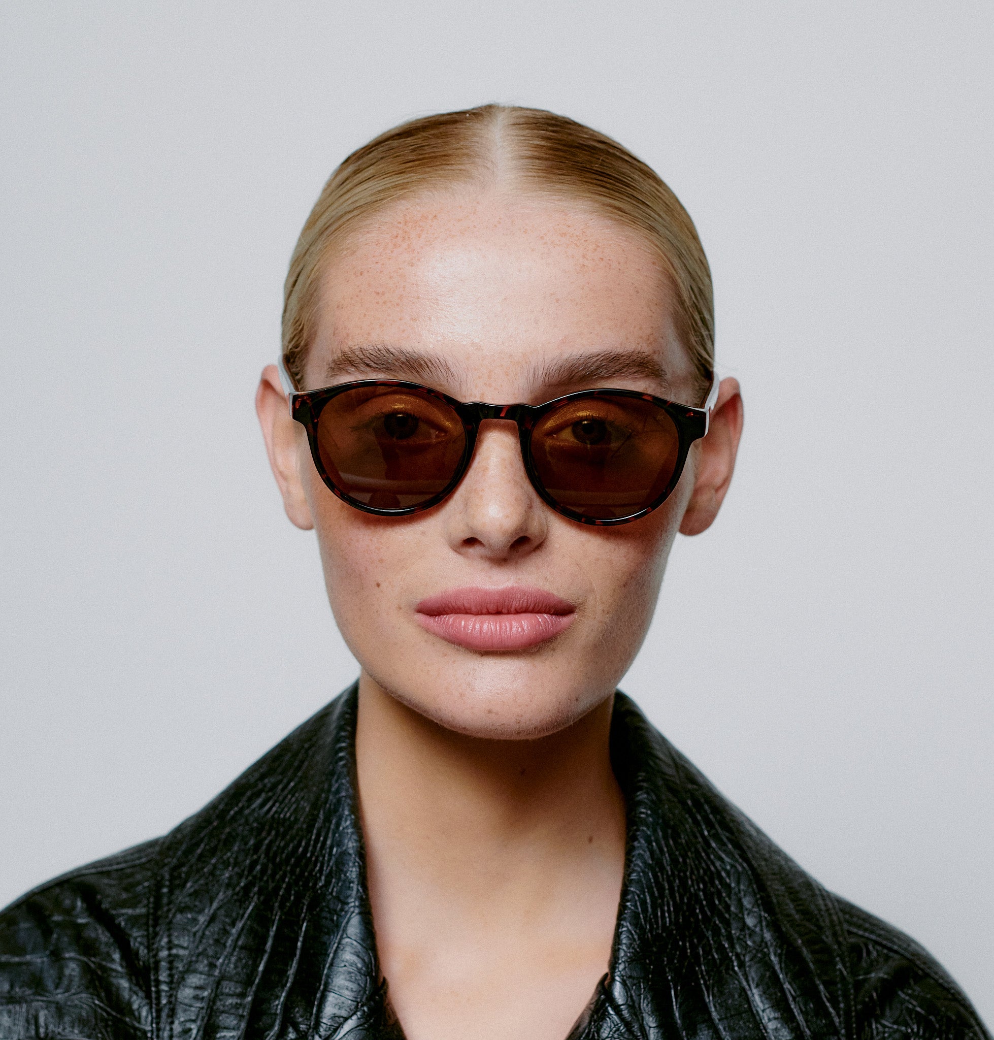 Marvin - Demi Tortoise